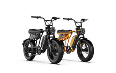 Combo Ebikes